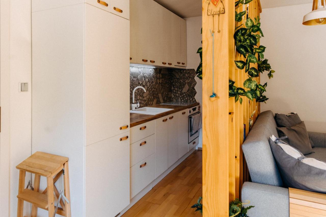 Apartman V Srdci Znojma „Jako Doma“ Znojmo Kültér fotó